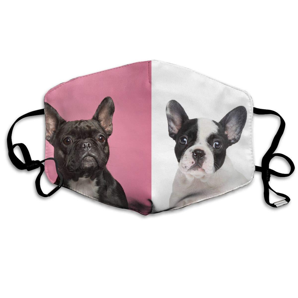 French Bulldog Face Mask